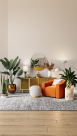 Acclaim Interiors