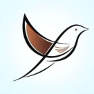 Volga Tigris Corporate Services