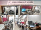 Emerging Consultancy Services