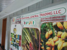 Canary International General Trading