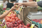 Jabal Almostaqbal Grocery