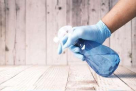 Trust Line Security And Cleaning Services