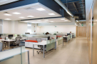 Real Emirates ​administration Department