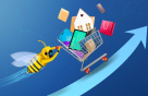 Billion Bees Fx International
