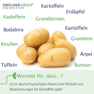 Emsland Group