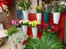 Al Tamimi Flowers