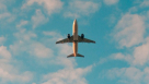 Trivova Travel And Tourism