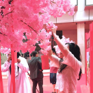 Redfilo International Events Management