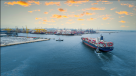 Tigris Logistics & Shipping