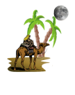 Arabian Fun Adventures