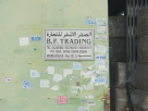 B. F. Trading