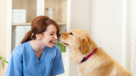 Majestic Veterinary Clinic