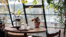 Tea Leaf Cafe