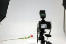 Bhar Photography Services Co.