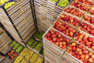 Letorvan Foodstuff Trading