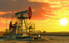 Prince Palace Trading Refined Oil Products Abroad