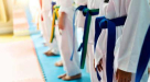 Al Theeb Martial Arts Club