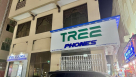 Tree Best Phones Trading