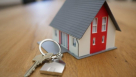 Diana Realtor