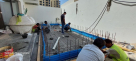 Total Pools Solutions Technical Services