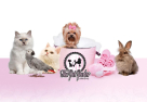 The Pet Parlor Salon