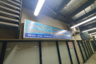 Al kobraa Vegetables And Fruits Trading