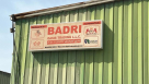 Badri Qasis Trading