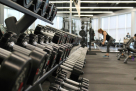 Evolve Fitness