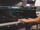 The Piano Gallery