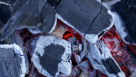 Black Mountain Coal