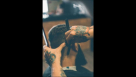 Well Cut Men Salon
