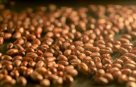 Ahmed Sadegh Nuts Roasting Factory