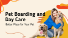 Pet Boutique Daycare & Spa