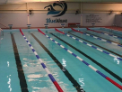 Blue Wave Swimming Training Services