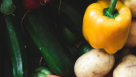 Javad Arahimi Foodstuff Trading