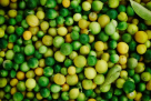 Bismi Wholesale