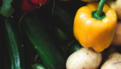 Rawsome Foods Portal