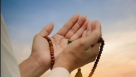 Al Rusul Masjid (894)