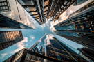Dubai Business Corporation