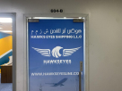 Hawks Eyes Shipping