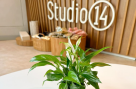 Studio 14 Pilates