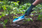 Sustainable Garden Trading