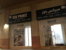 Six Pawz Training & Domestic Pets Grooming