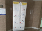 Insights Marketing & Communication Est