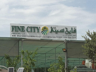 Fine City Landscape