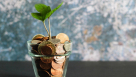 HYM Investment Group