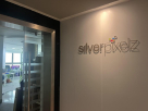 Silver Pixelz