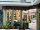 Richi Salon For Men