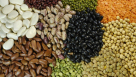 Adnan Yousef Fatemi Foodstuff Trading