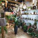 Wooden Art Gifts